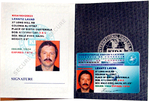 Sample of International Drivers License. Passport size Booklet with an 8 languages translation of your native Driver License and Credit Card size security hologram covered plastic card.