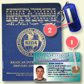 Digital International Driver's License 