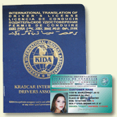 International Driver's License - regular style