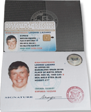 international drivers license document - golden type