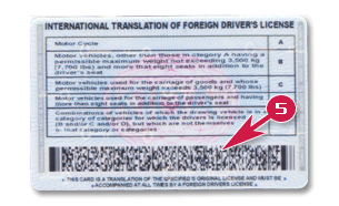 Back side image of Golden International Driver's License